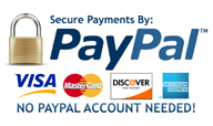 PayPal Security