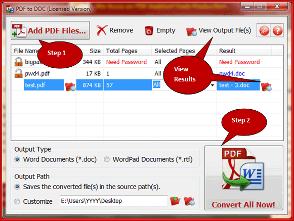 Convert PDF to Word Free Download Interface