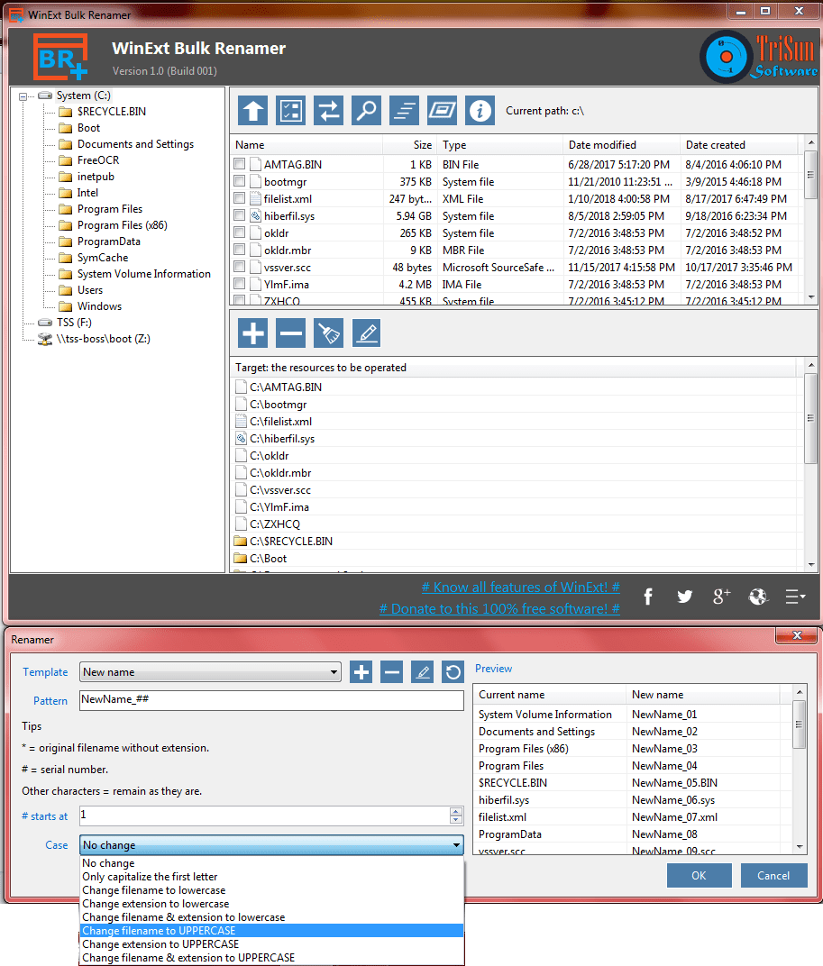 WinExt Bulk Renamer screenshot